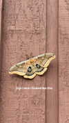 __schleeey Altpins Profile Picture