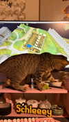 __schleeey Altpins Profile Picture
