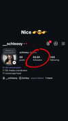 __schleeey Altpins Profile Picture