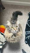 __schleeey Altpins Profile Picture