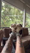 __schleeey Altpins Profile Picture