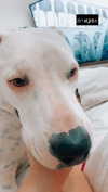 __yaheli_ Altpins Profile Picture