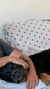 __yaheli_ Altpins Profile Picture