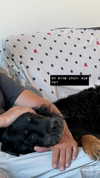 __yaheli_ Altpins Profile Picture