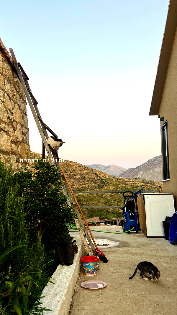 __yaheli_ instagram image archive image