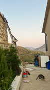 __yaheli_ Altpins Profile Picture
