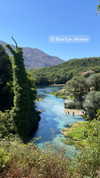 __yaheli_ Altpins Profile Picture