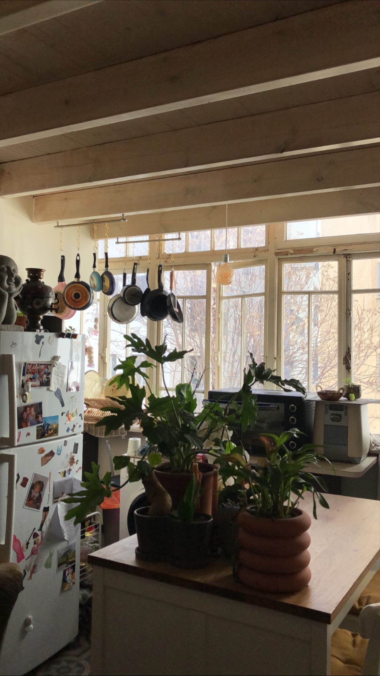 _adidahan instagram image archive image