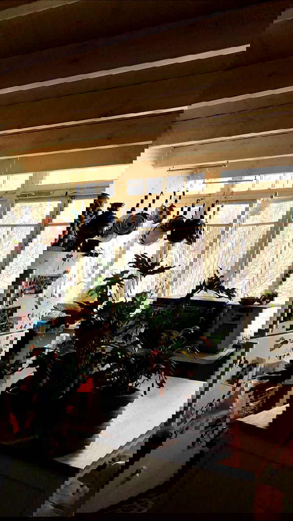 _adidahan image ~ Altpins