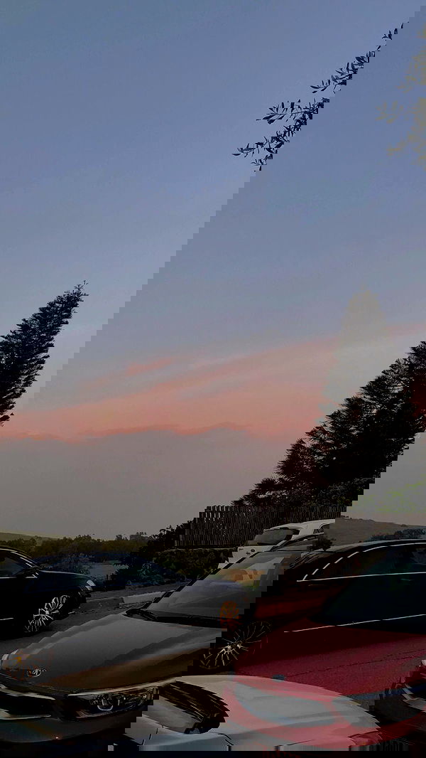 _adidahan image ~ Altpins