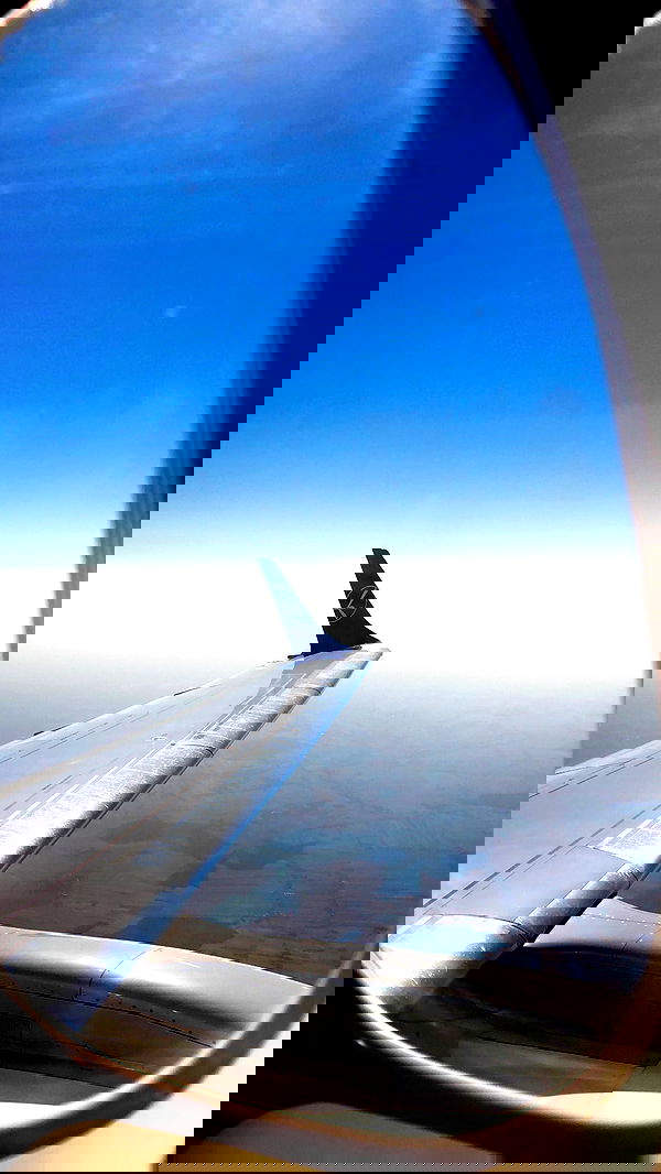 _adidahan image ~ Altpins