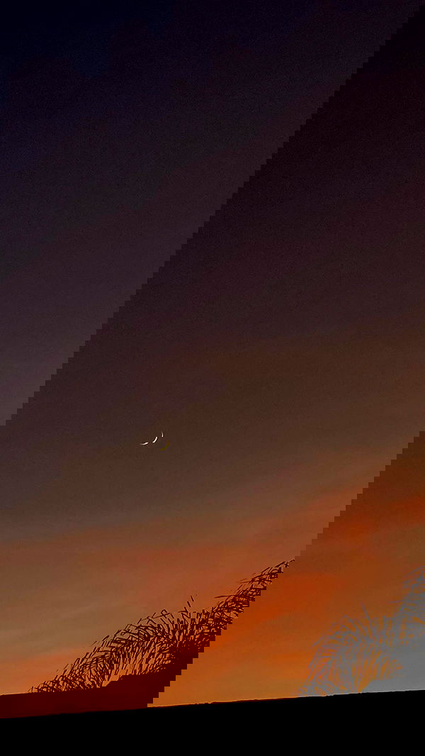 _adidahan image ~ Altpins