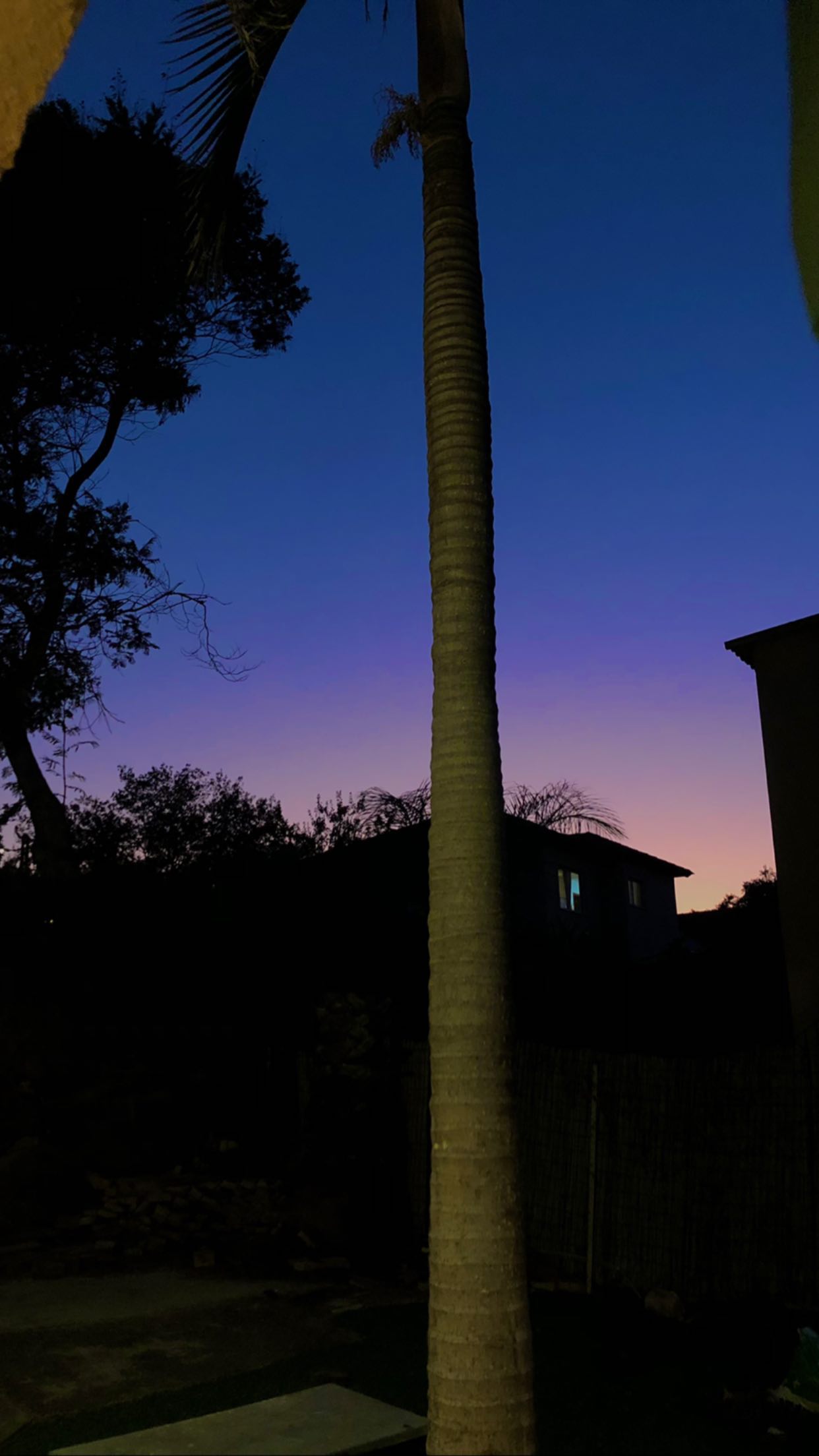 _adidahan instagram image archive image