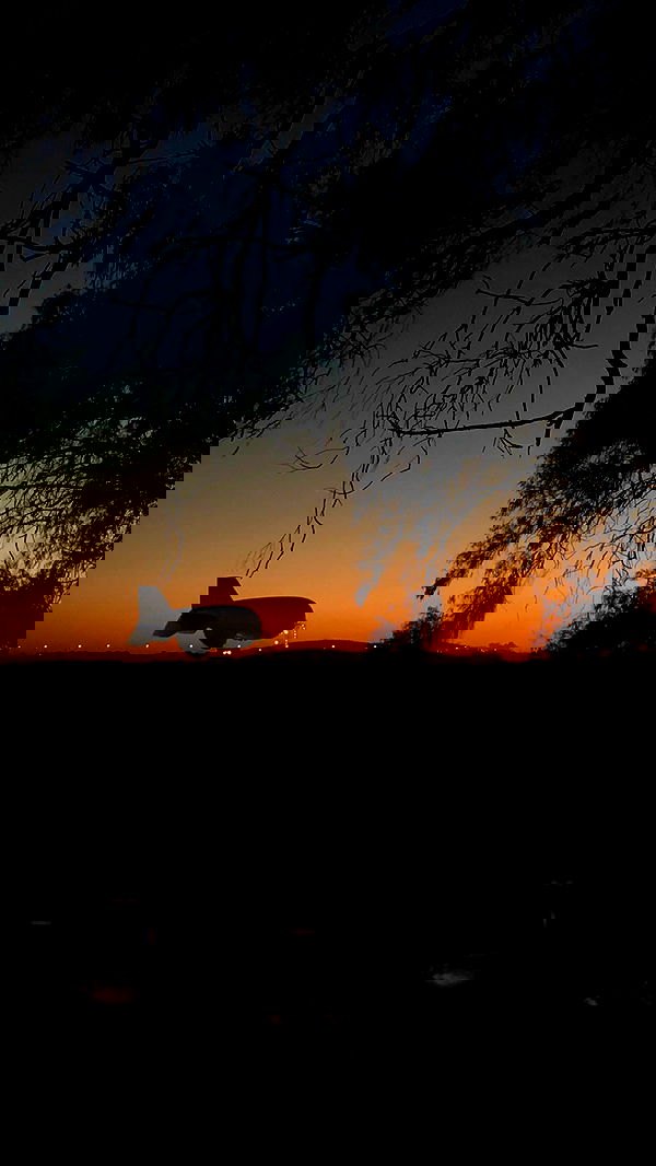 _adidahan image ~ Altpins