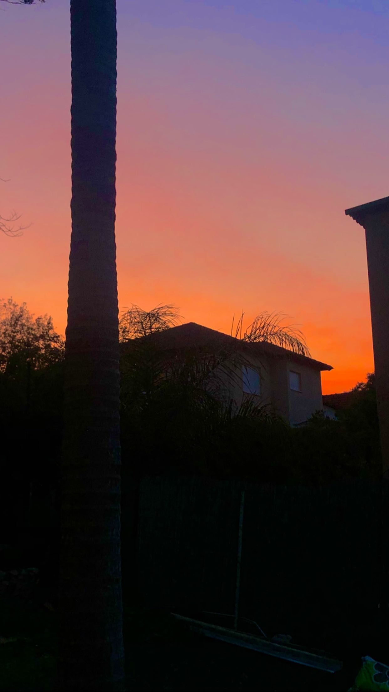 _adidahan instagram image archive image