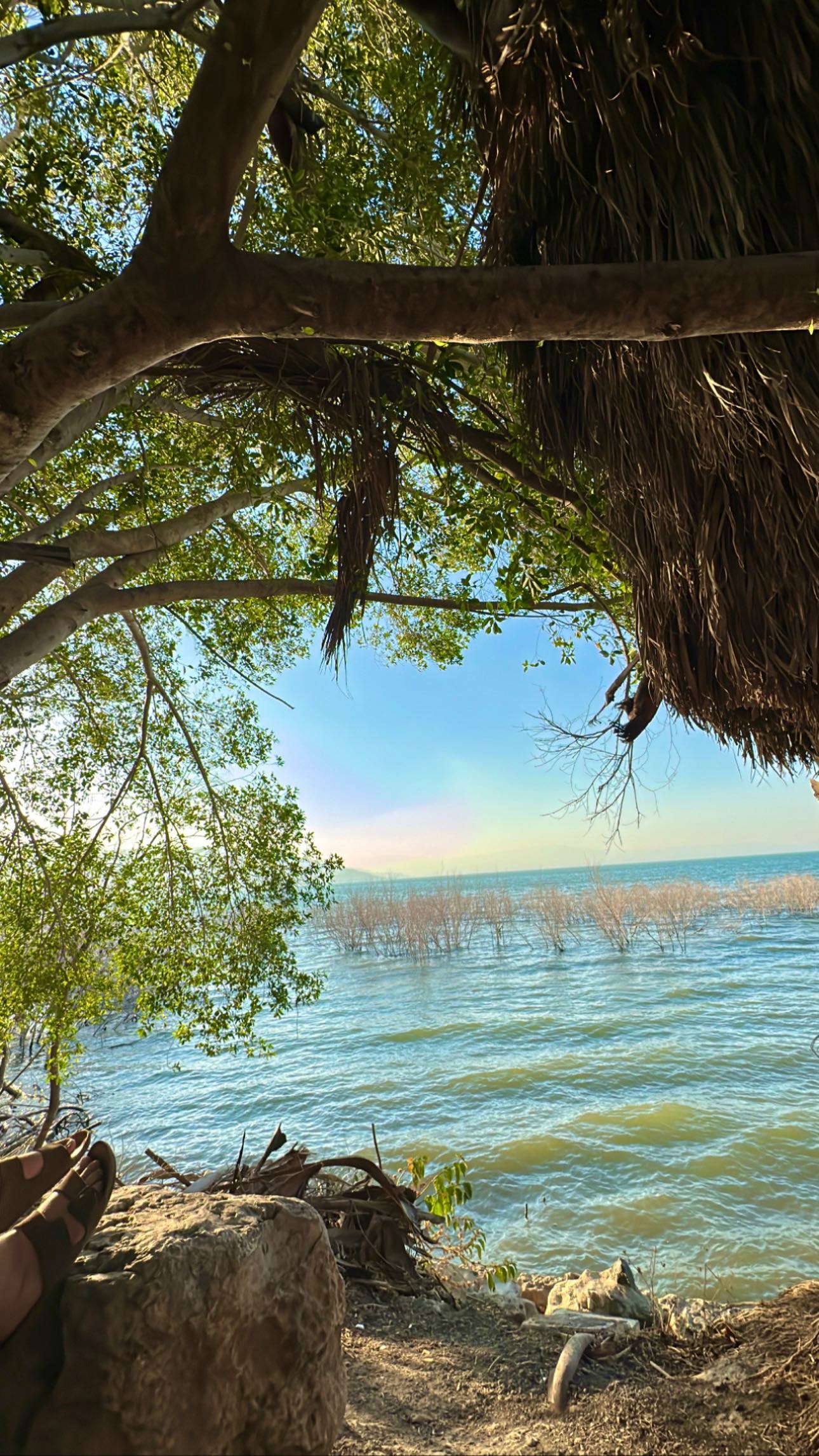 _adidahan instagram image archive image