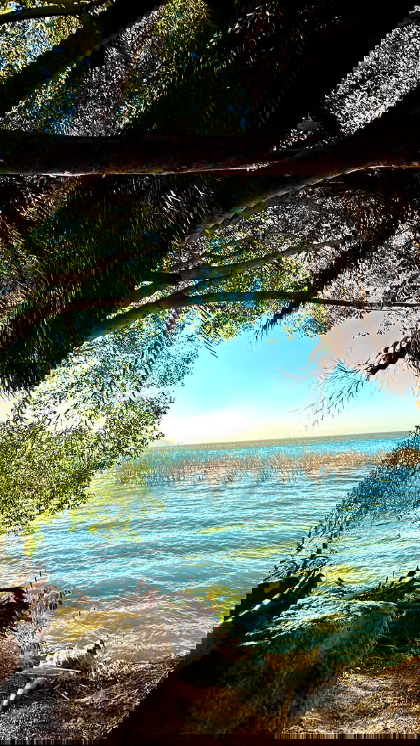 _adidahan image ~ Altpins