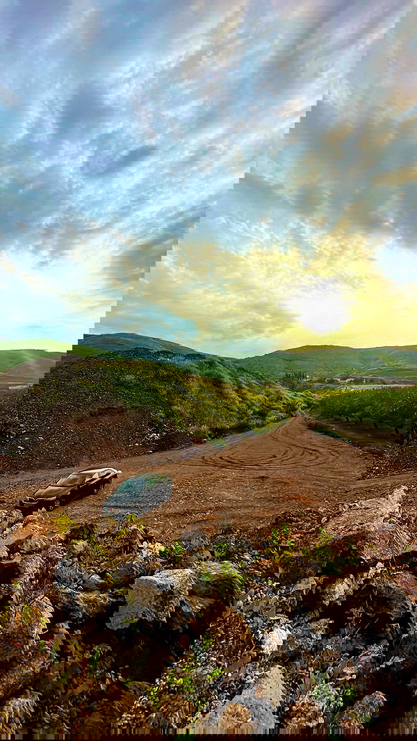 _adidahan image ~ Altpins