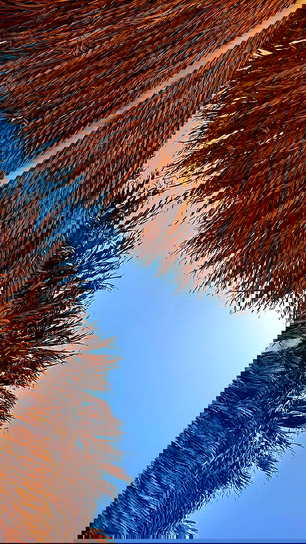 _adidahan image ~ Altpins