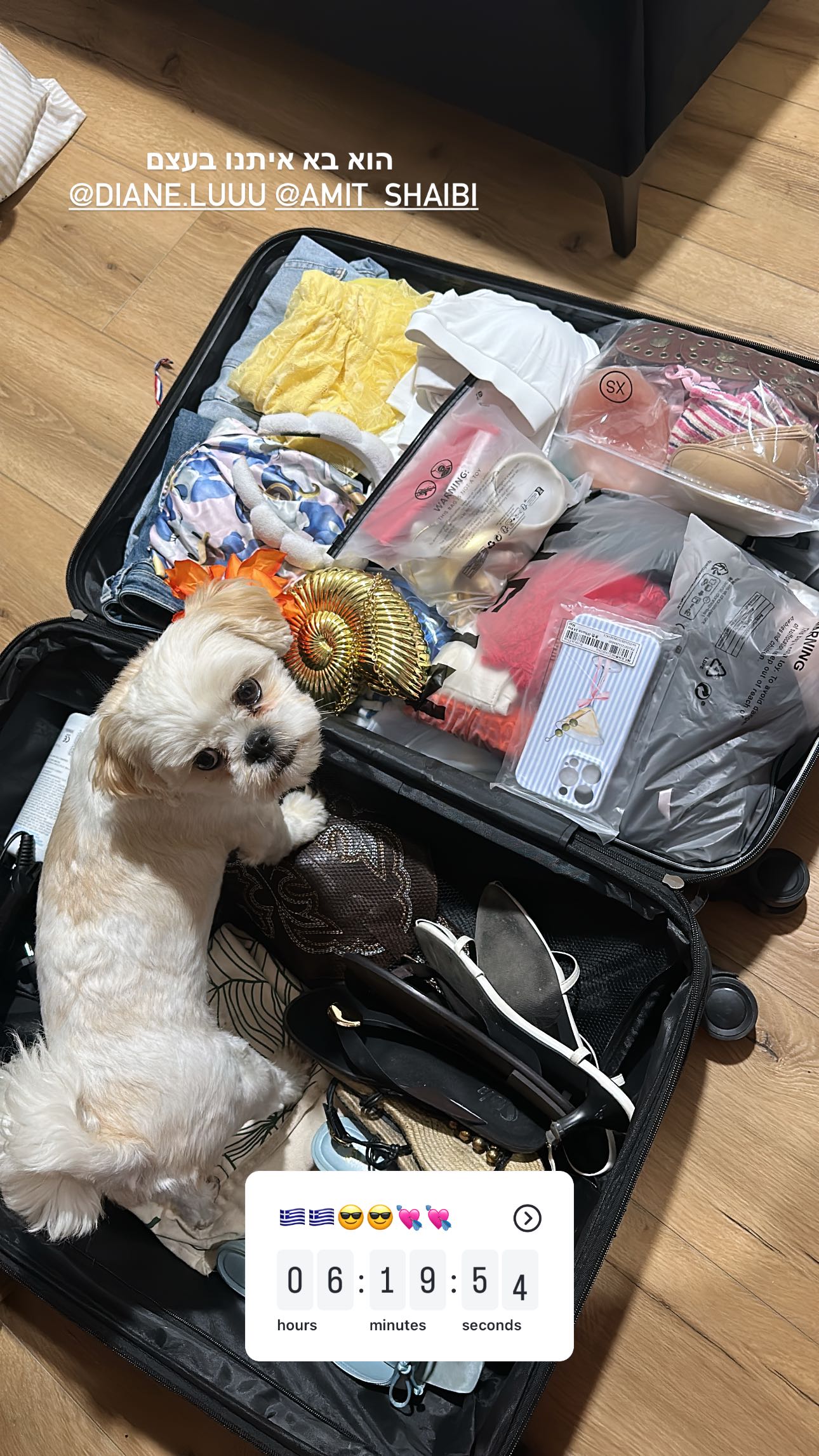 _adidahan instagram image archive image