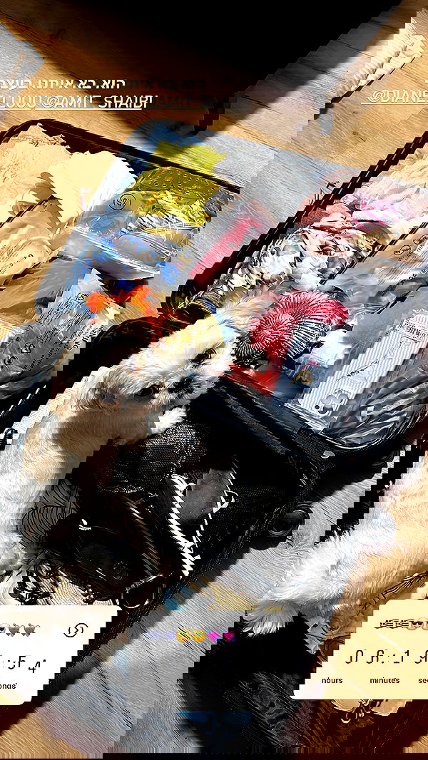 _adidahan image ~ Altpins