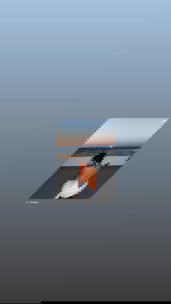 _adidahan image ~ Altpins