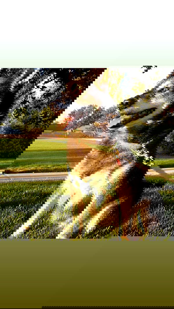 _animechika_ _animechika_ archive image