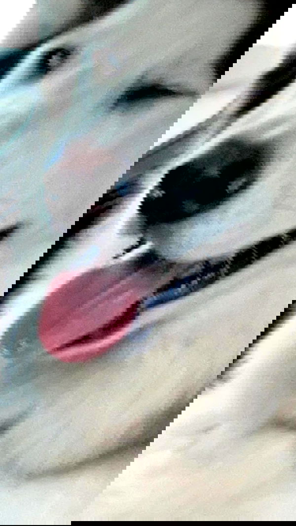 _animechika_ _animechika_ archive image