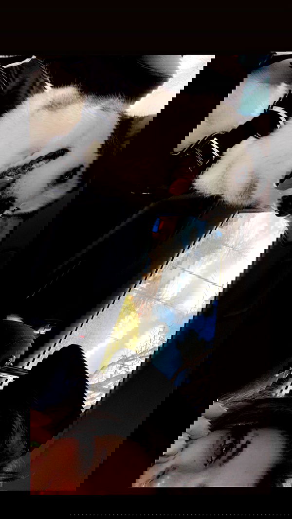 _animechika_ _animechika_ archive image