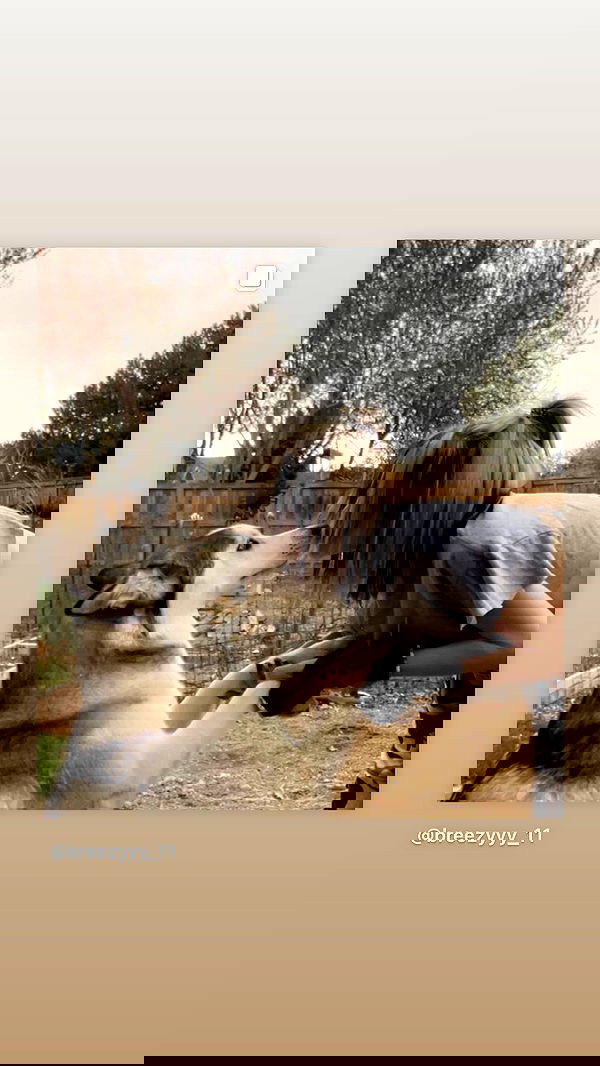 _animechika_ _animechika_ archive image