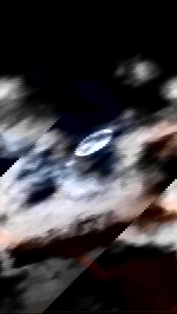 _animechika_ _animechika_ archive image