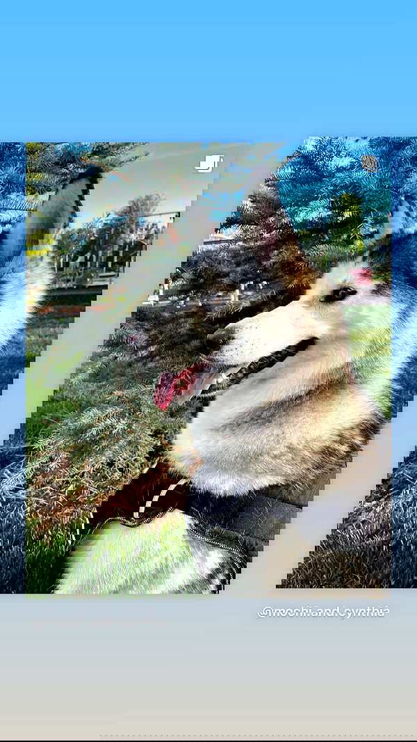 _animechika_ _animechika_ archive image