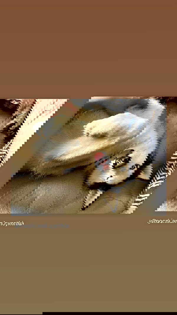 _animechika_ _animechika_ archive image