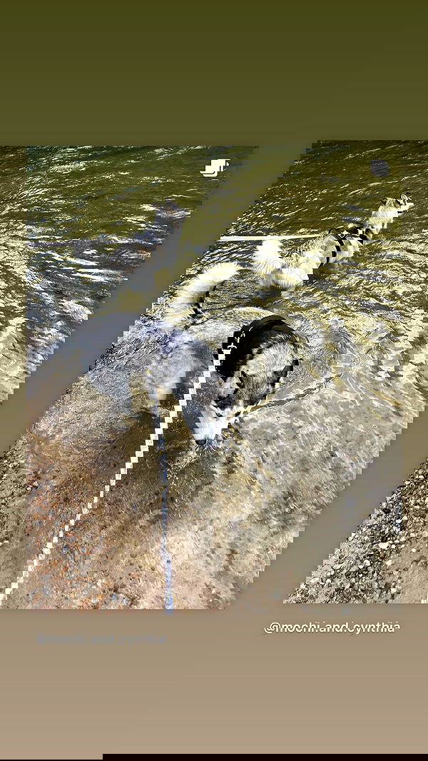 _animechika_ _animechika_ archive image