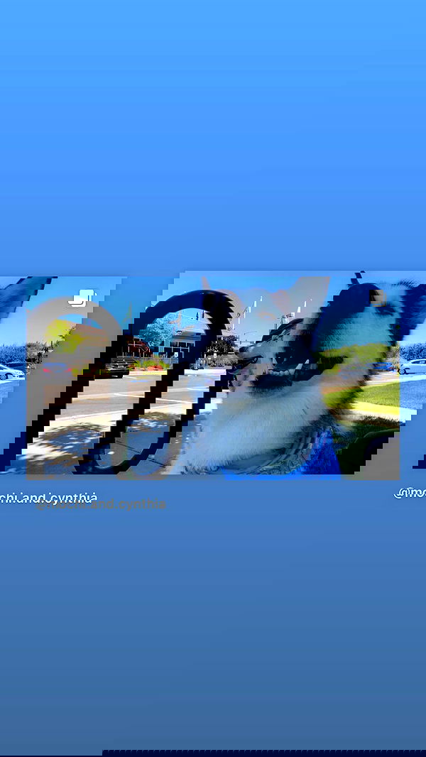 _animechika_ _animechika_ archive image