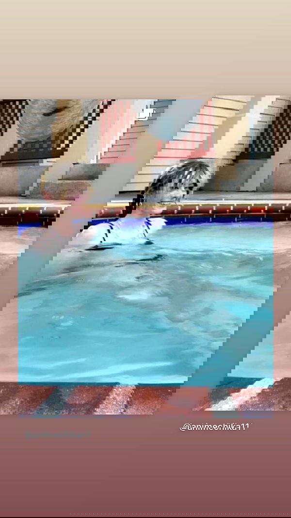 _animechika_ _animechika_ archive image