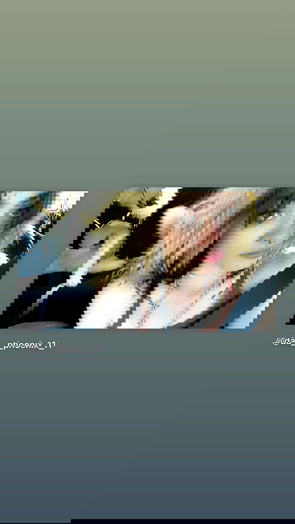 _animechika_ _animechika_ archive image