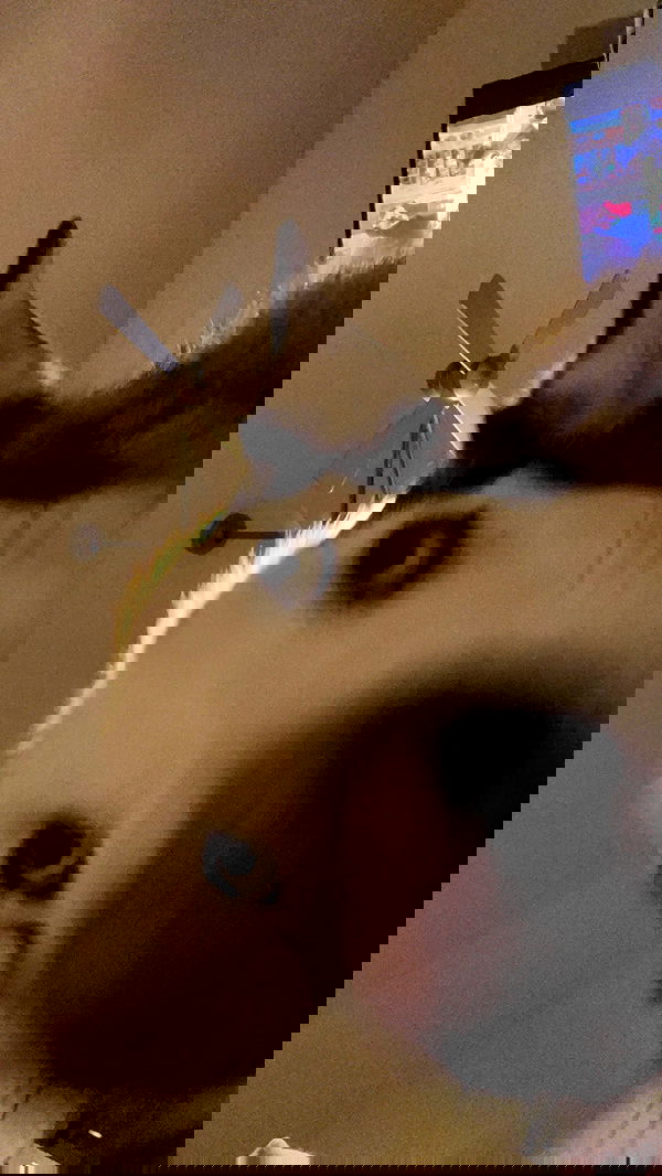 _animechika_ _animechika_ archive image