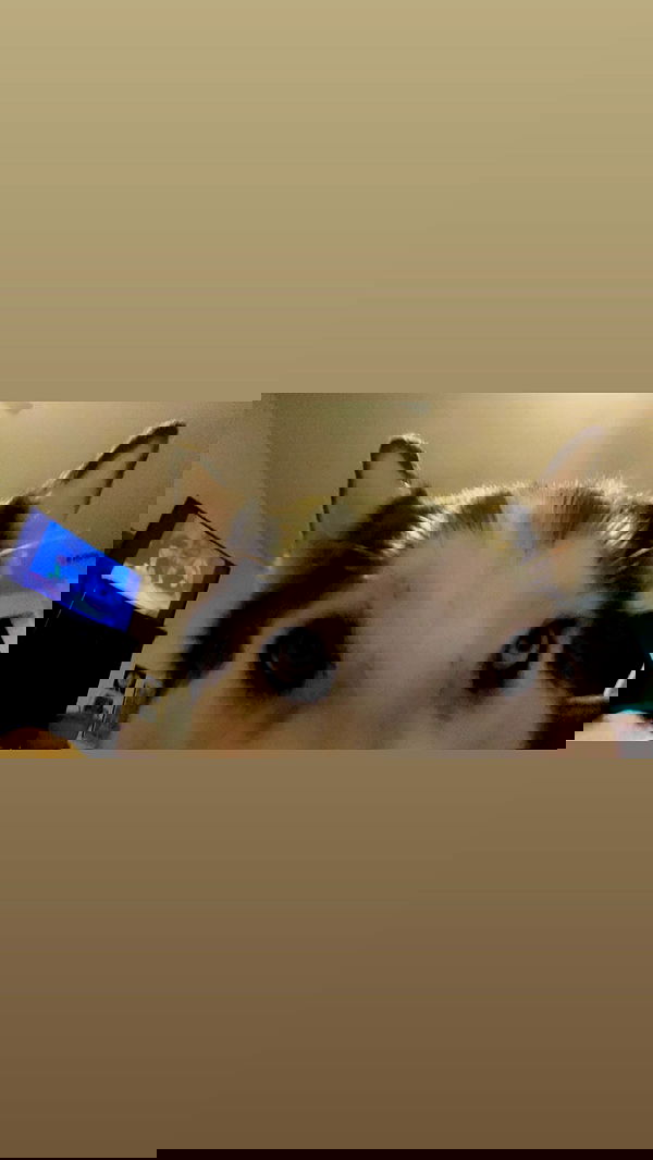 _animechika_ _animechika_ archive image