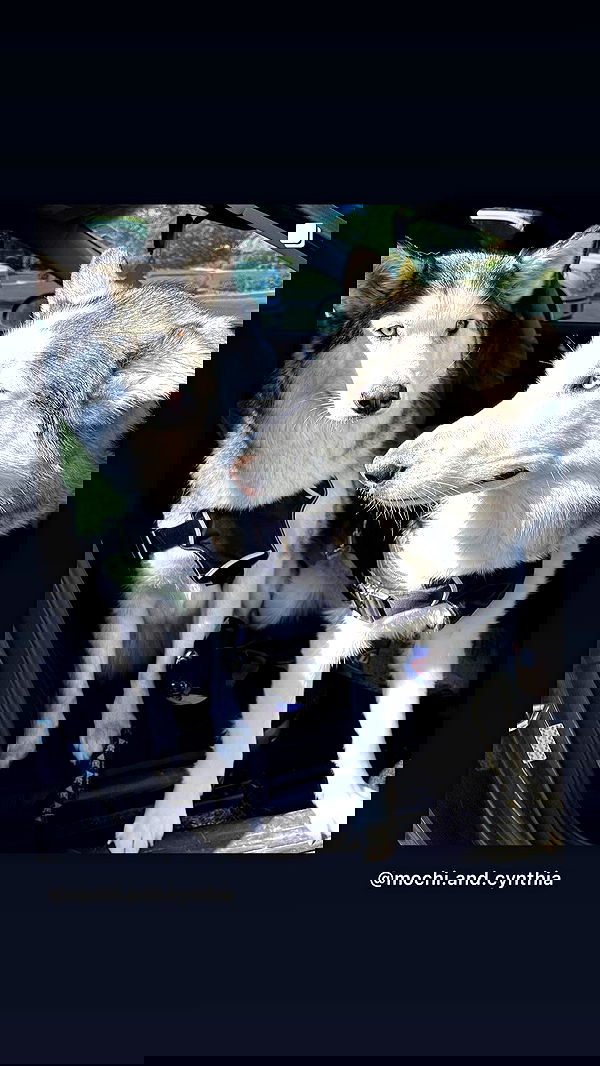 _animechika_ _animechika_ archive image