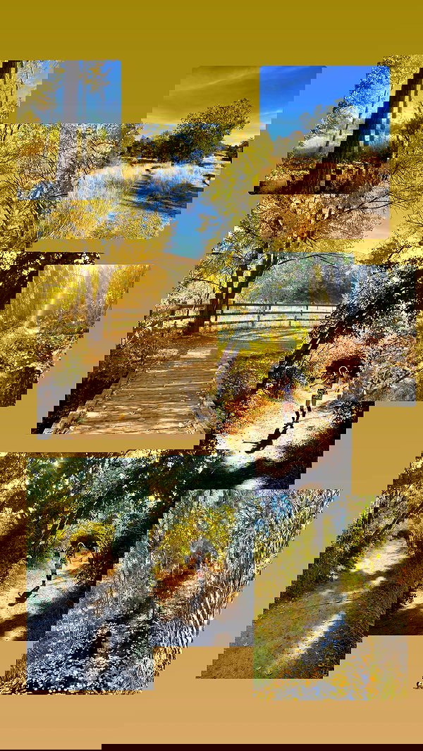 _animechika_ _animechika_ archive image