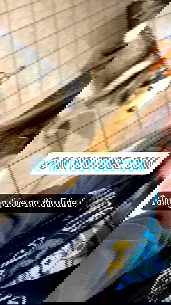 _animechika_ _animechika_ archive image