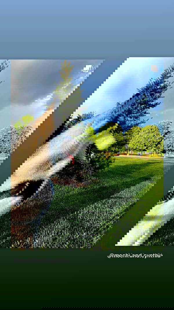 _animechika_ _animechika_ archive image