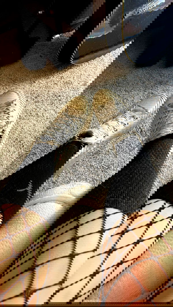 _animechika_ _animechika_ archive image