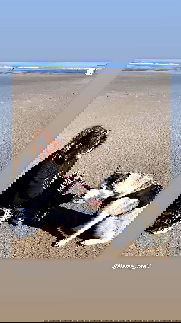 _animechika_ _animechika_ archive image