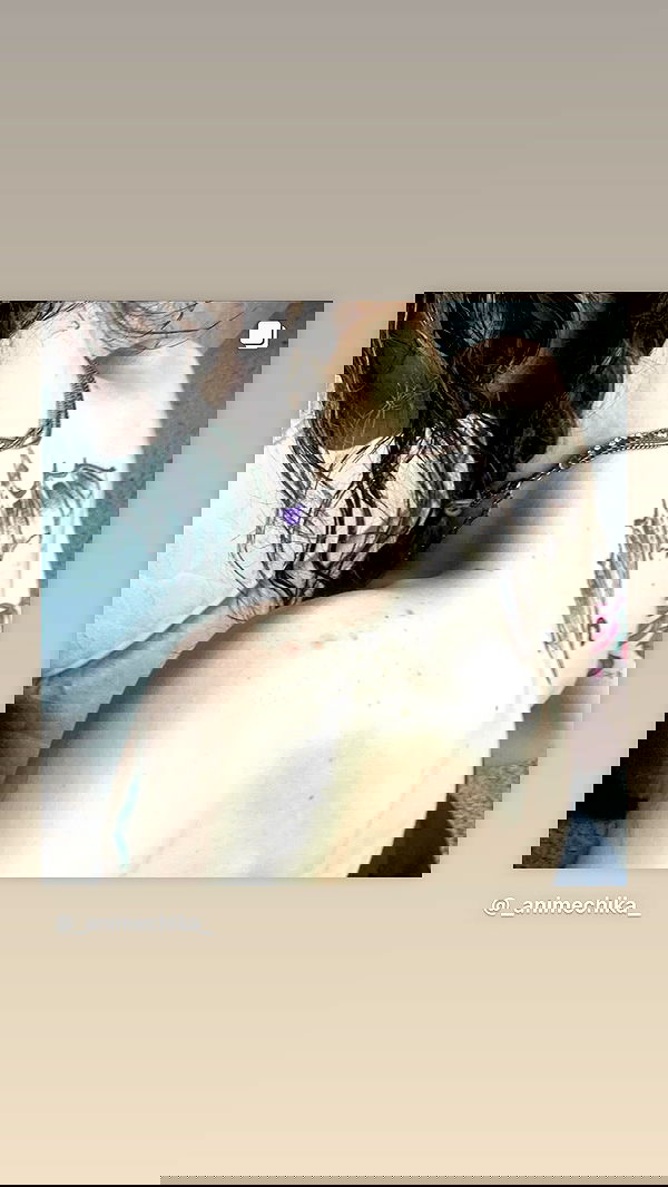 _animechika_ _animechika_ archive image