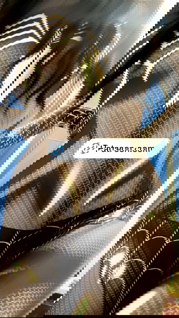 _animechika_ _animechika_ archive image