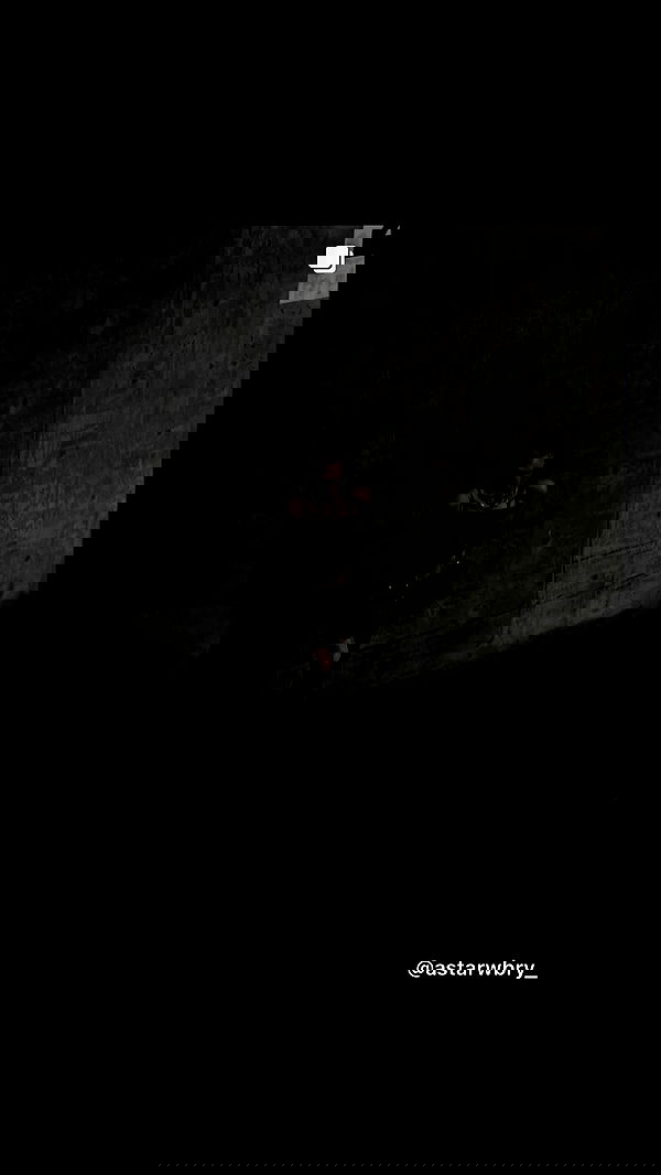 _animechika_ _animechika_ archive image