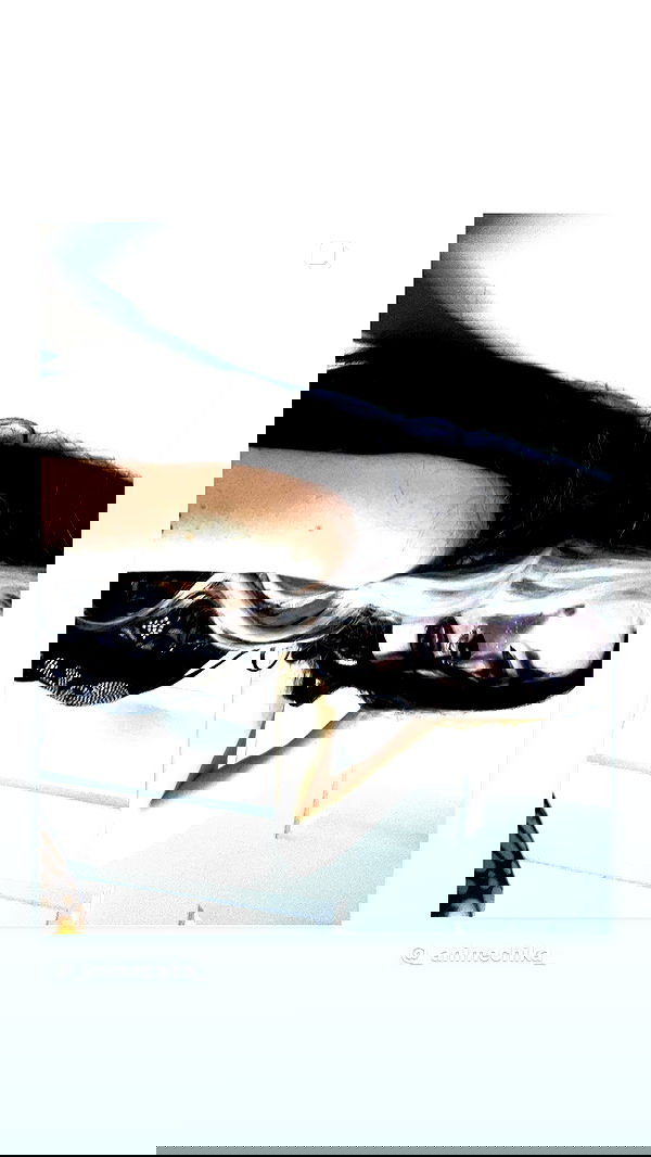 _animechika_ _animechika_ archive image