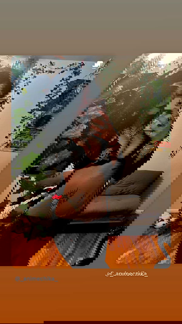 _animechika_ _animechika_ archive image